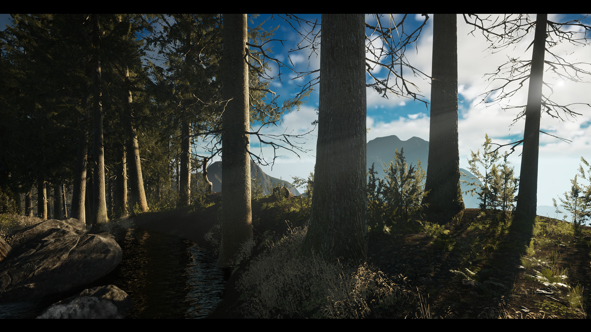 Princess &amp; Blade