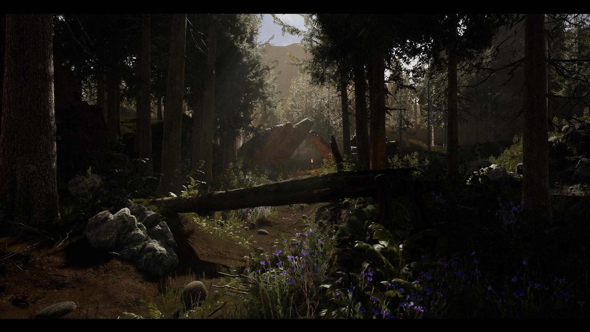 Princess &amp; Blade