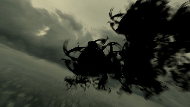 Linger In Shadows