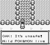 Pokémon Red Version