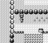 Pokémon Red Version