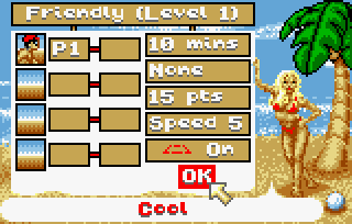 Malibu Bikini Volleyball