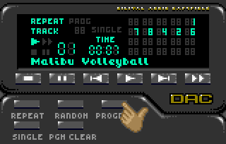 Malibu Bikini Volleyball