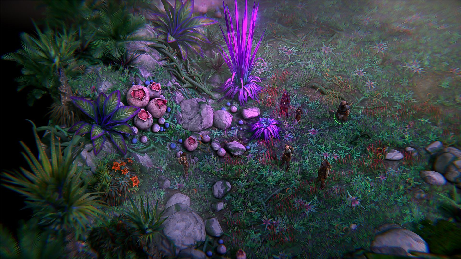 Pathfinder: Kingmaker – The Wildcards