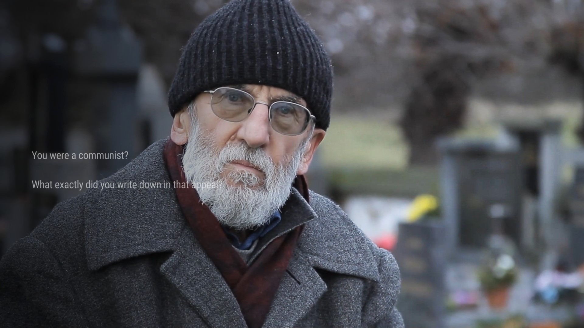 Svoboda 1945: Liberation