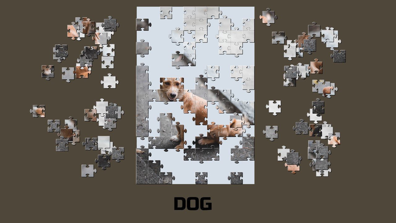 Learning jigsaw: Animals