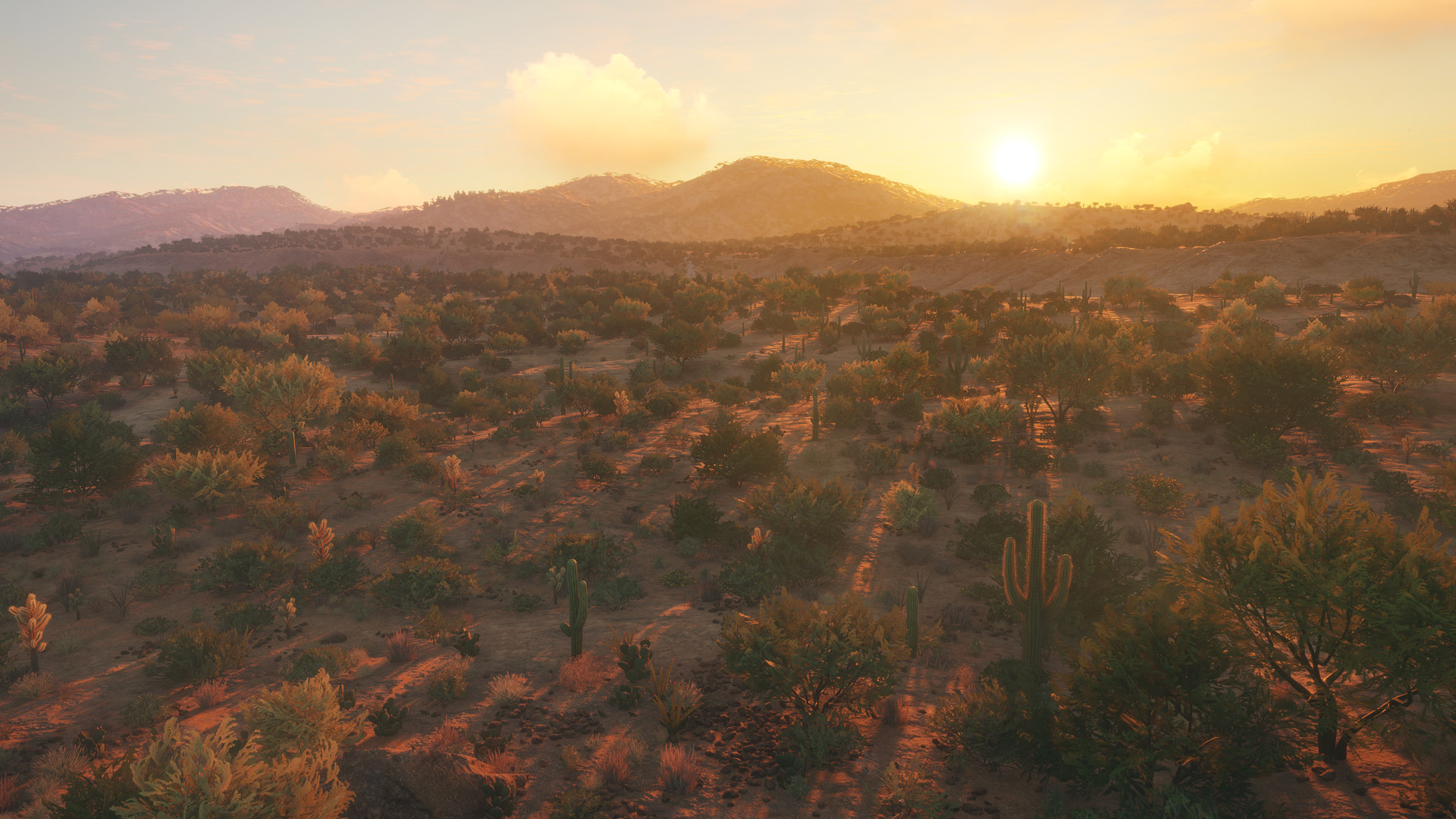 TheHunter: Call of the Wild – Rancho del Arroyo