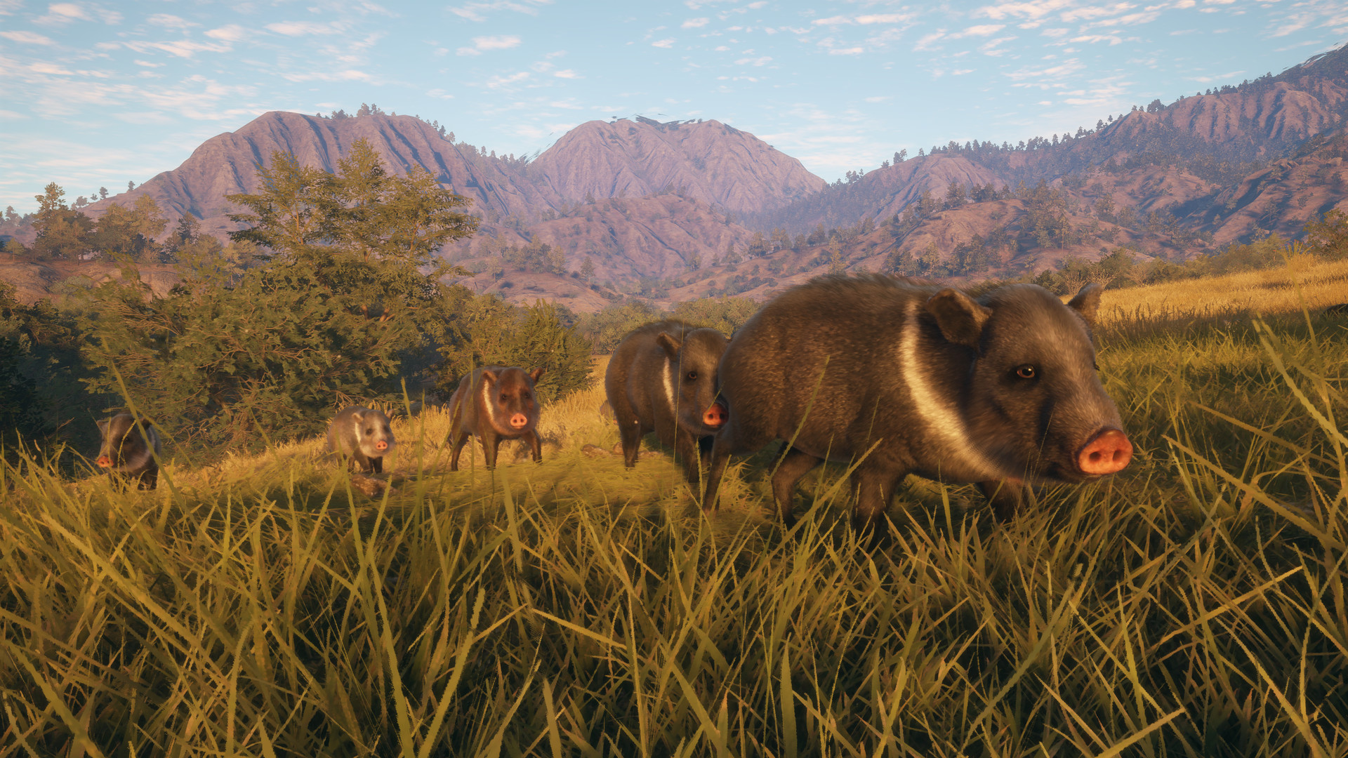 TheHunter: Call of the Wild – Rancho del Arroyo