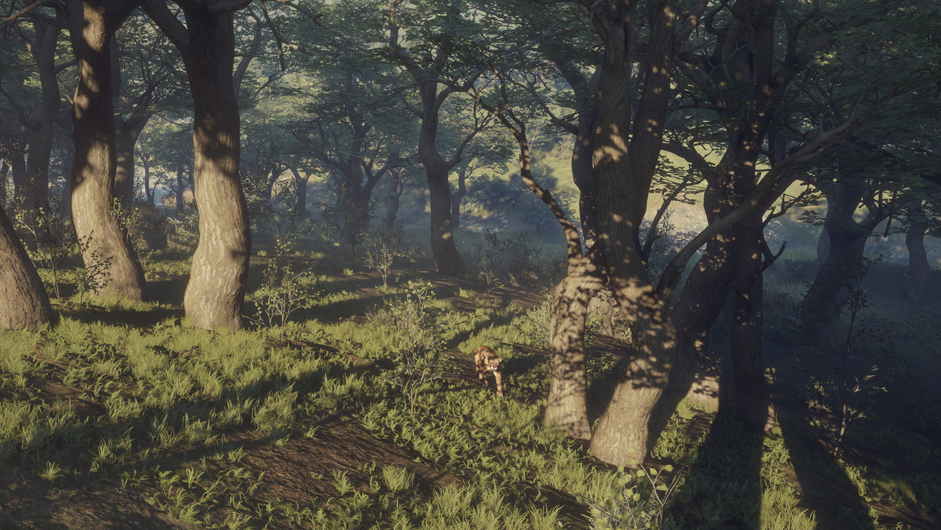 TheHunter: Call of the Wild – Parque Fernando
