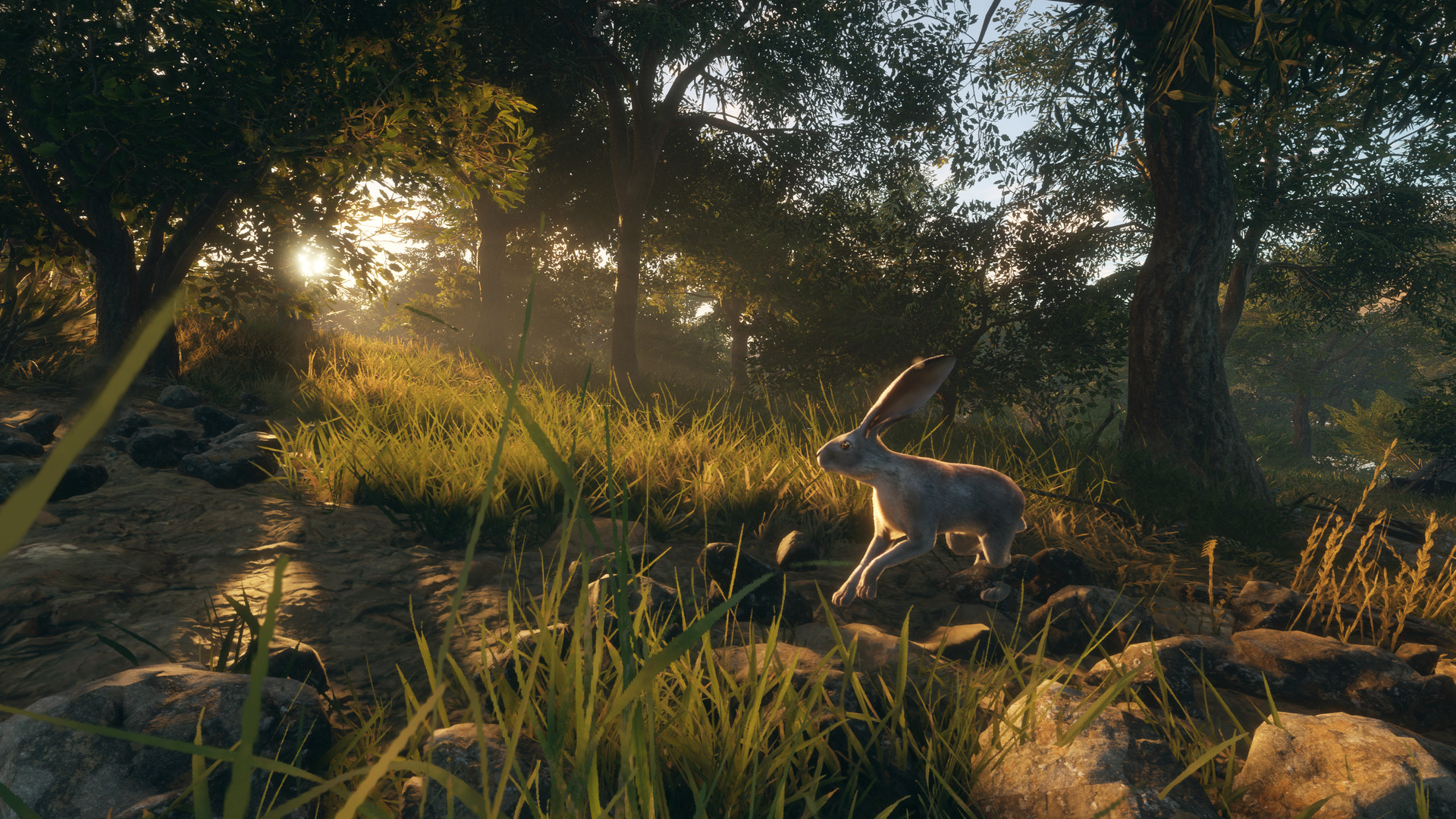 TheHunter: Call of the Wild – Rancho del Arroyo