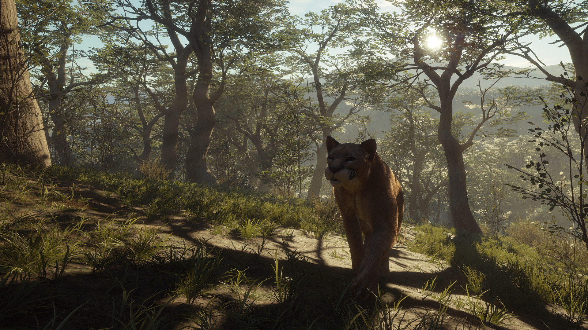 TheHunter: Call of the Wild – Parque Fernando