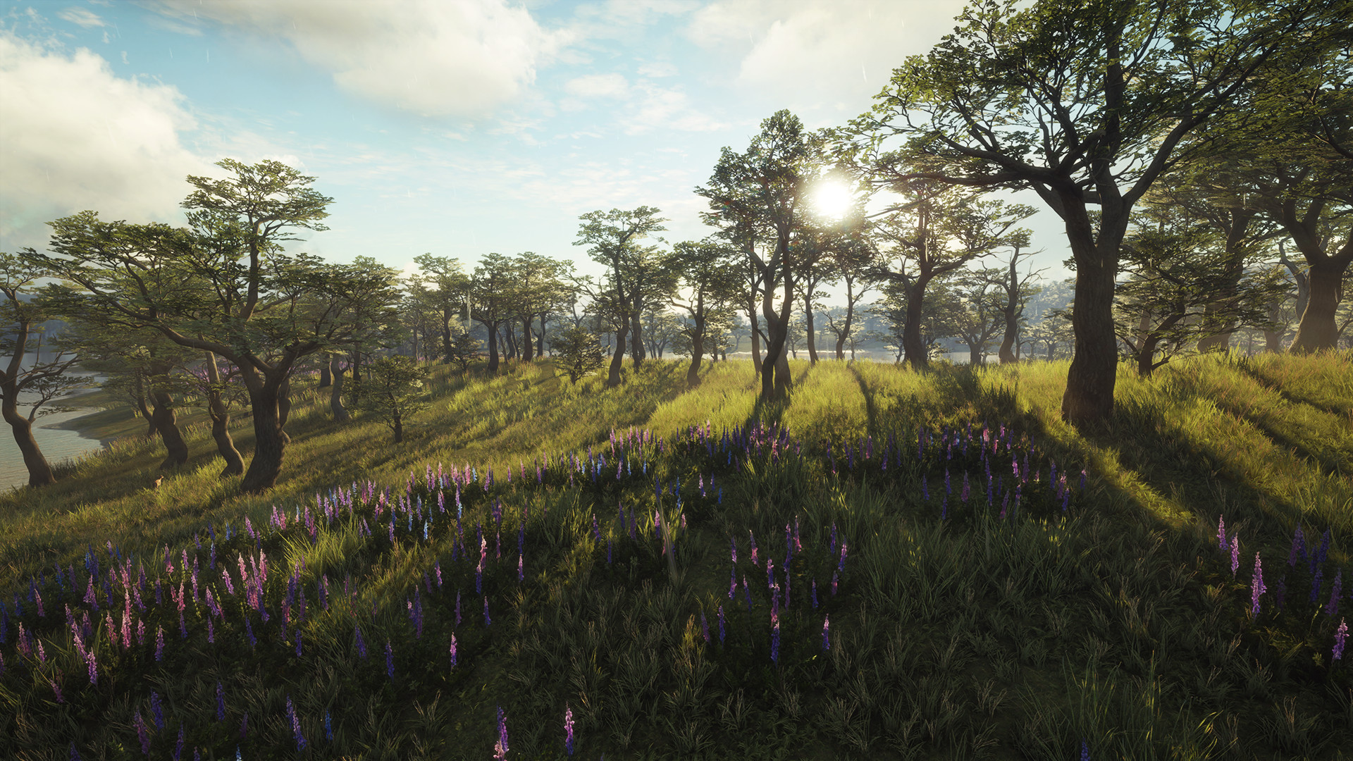 TheHunter: Call of the Wild – Parque Fernando
