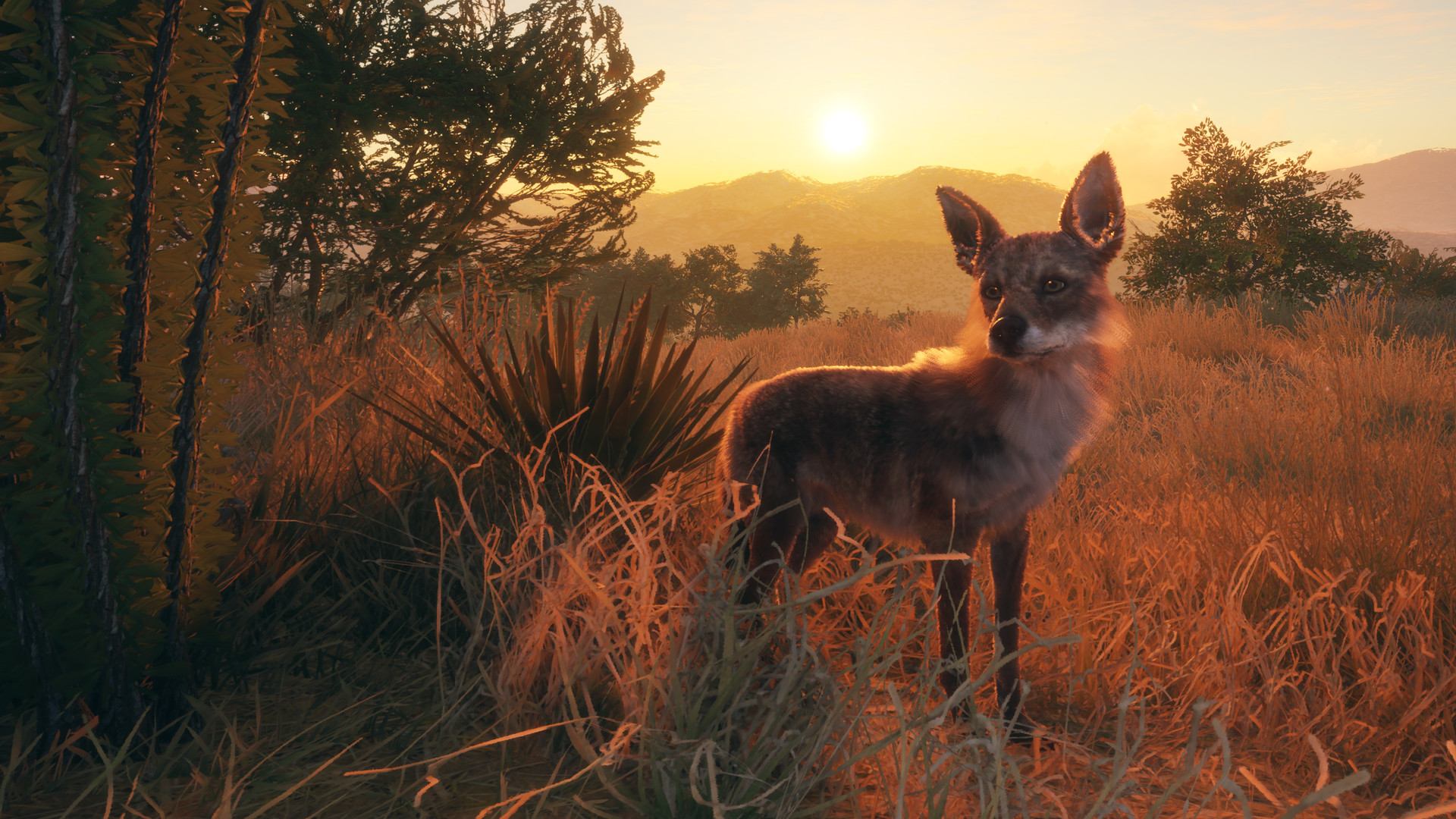 TheHunter: Call of the Wild – Rancho del Arroyo