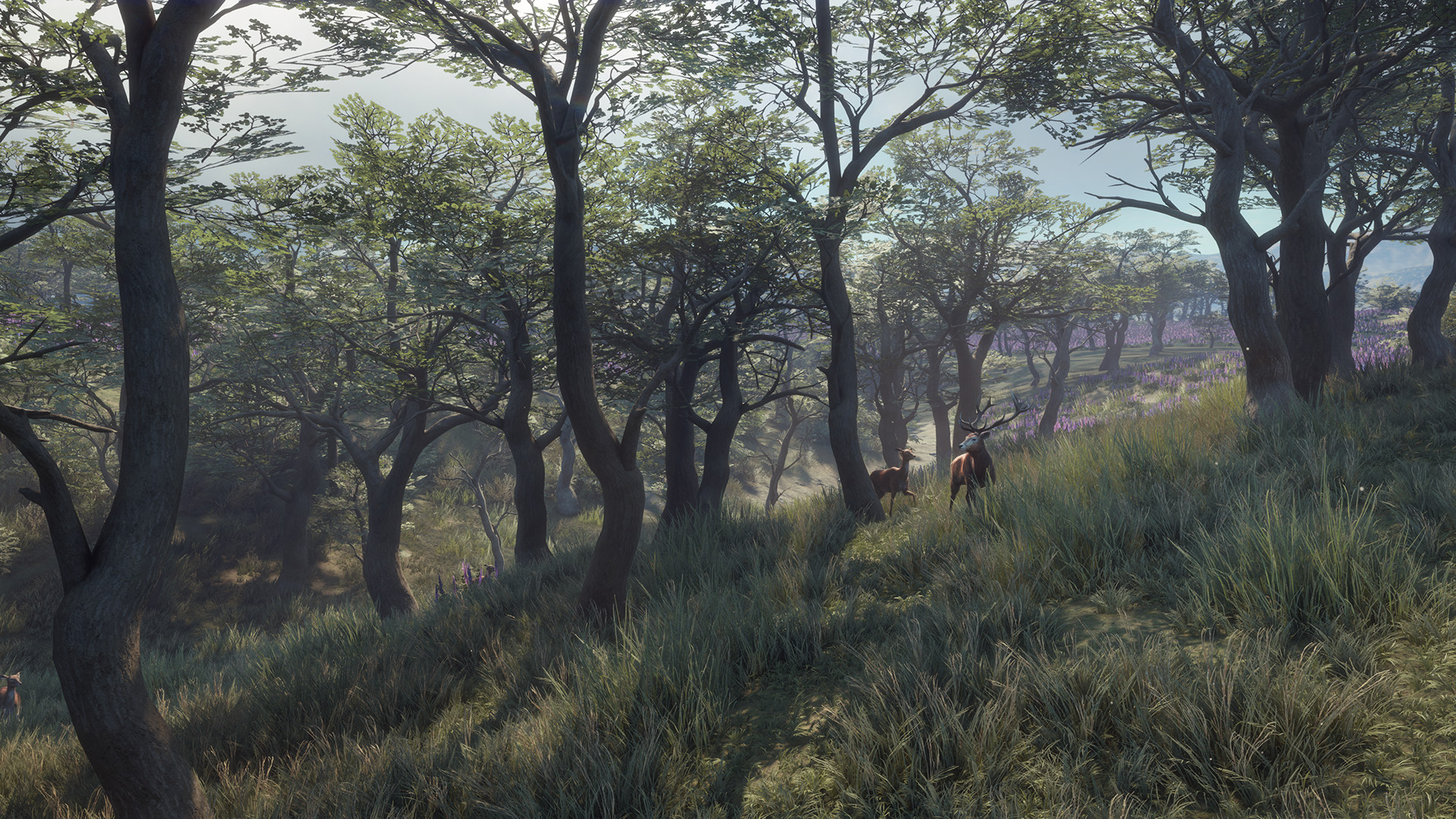 TheHunter: Call of the Wild – Parque Fernando