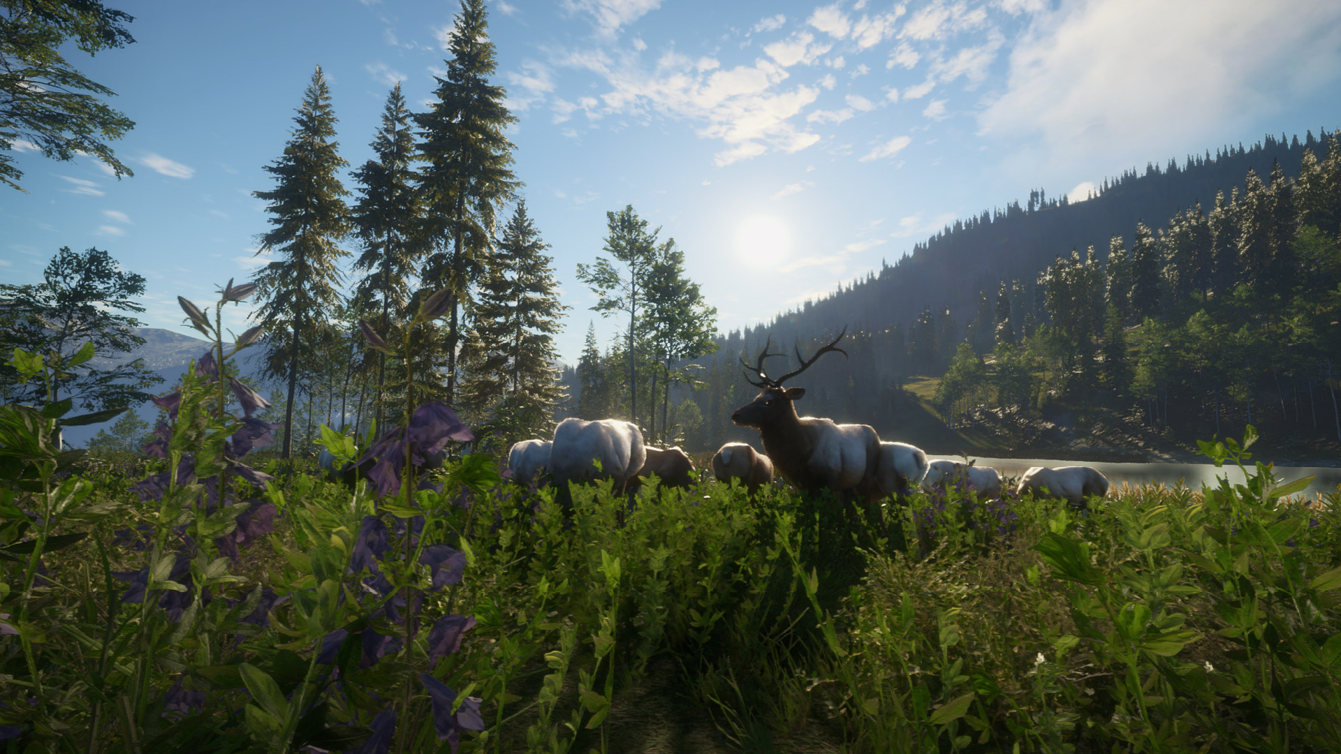 TheHunter: Call of the Wild – Silver Ridge Peaks