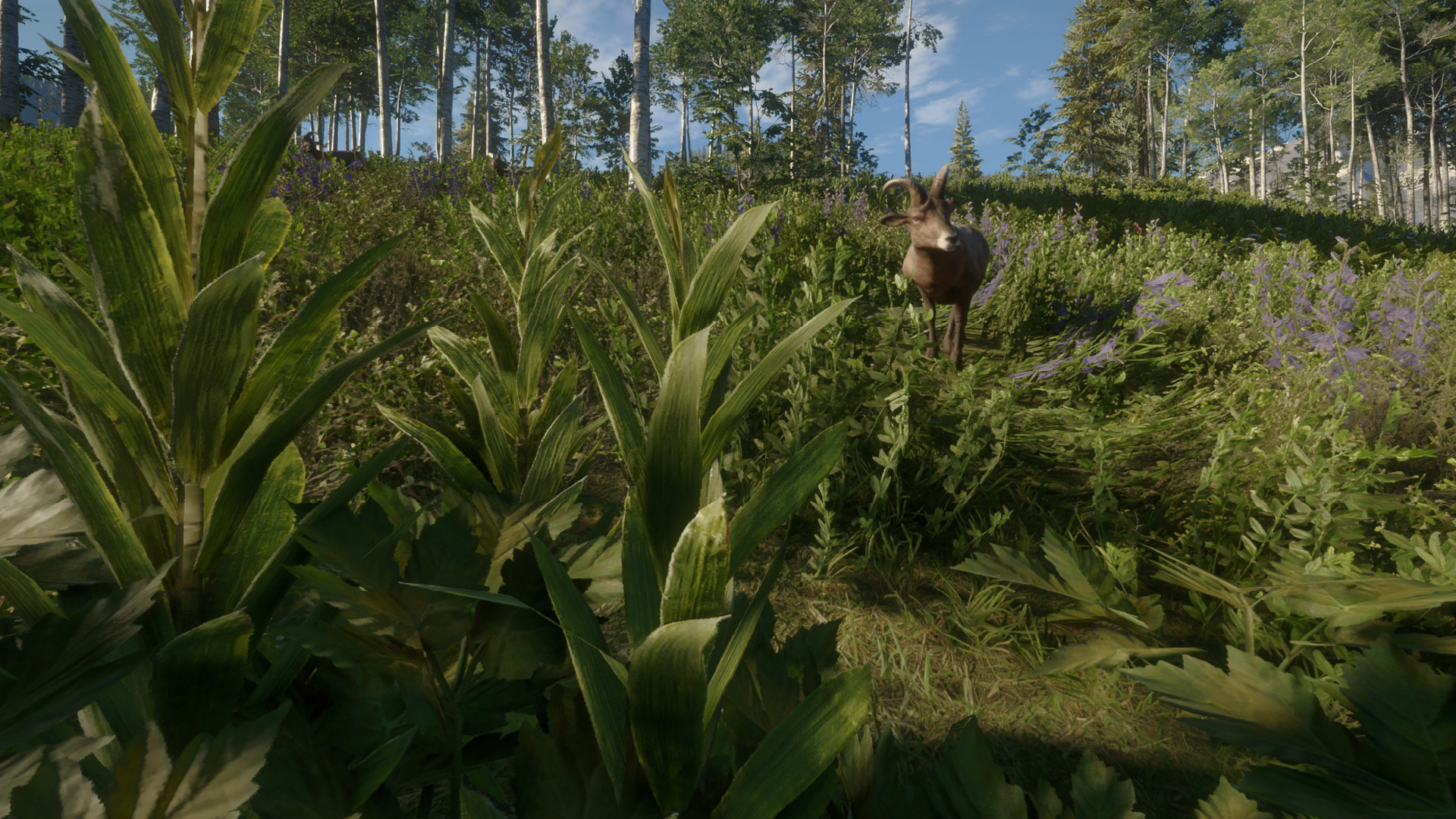 TheHunter: Call of the Wild – Silver Ridge Peaks