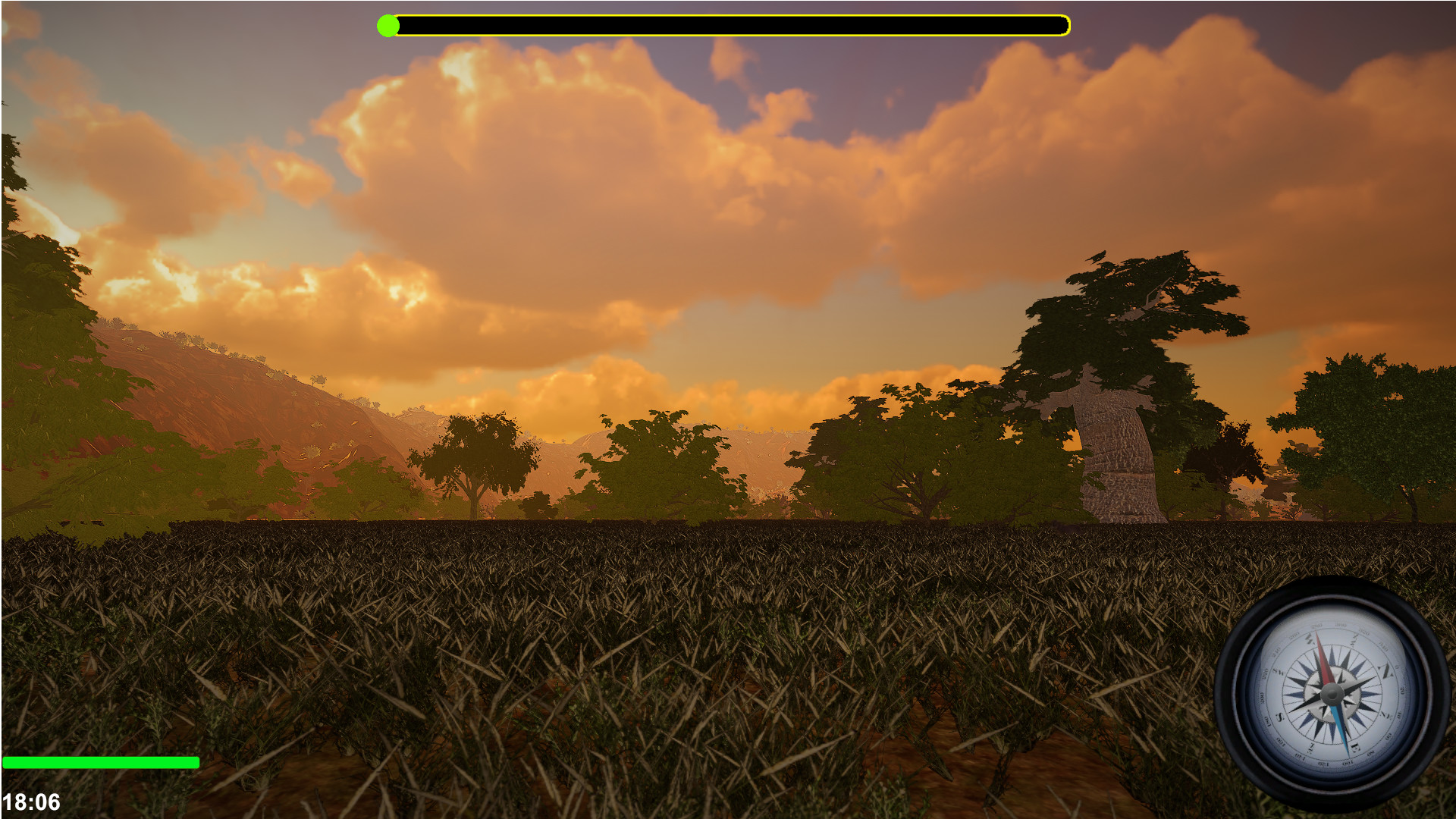 African Safari