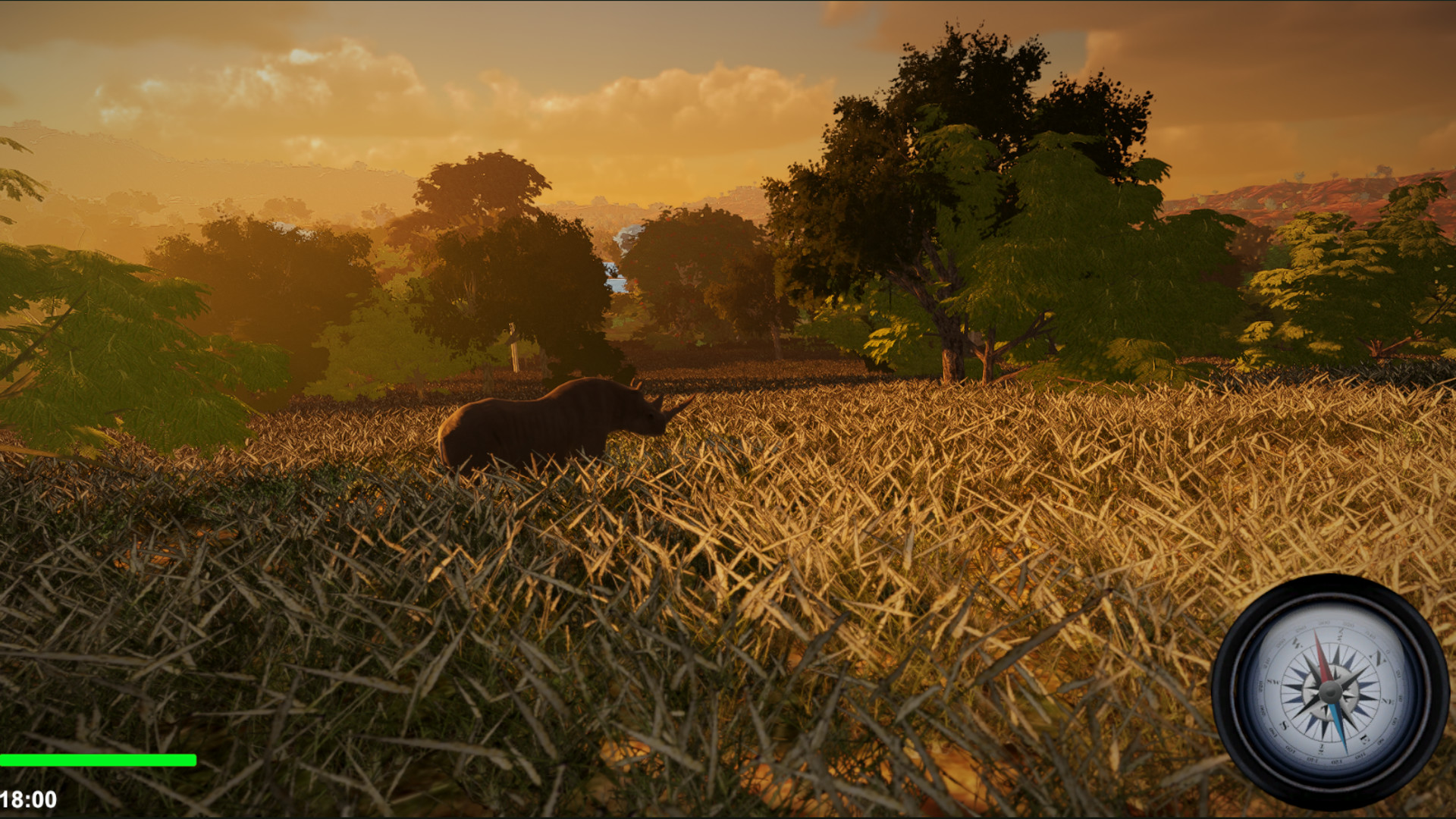 African Safari