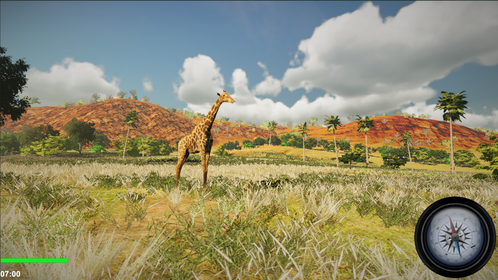 African Safari