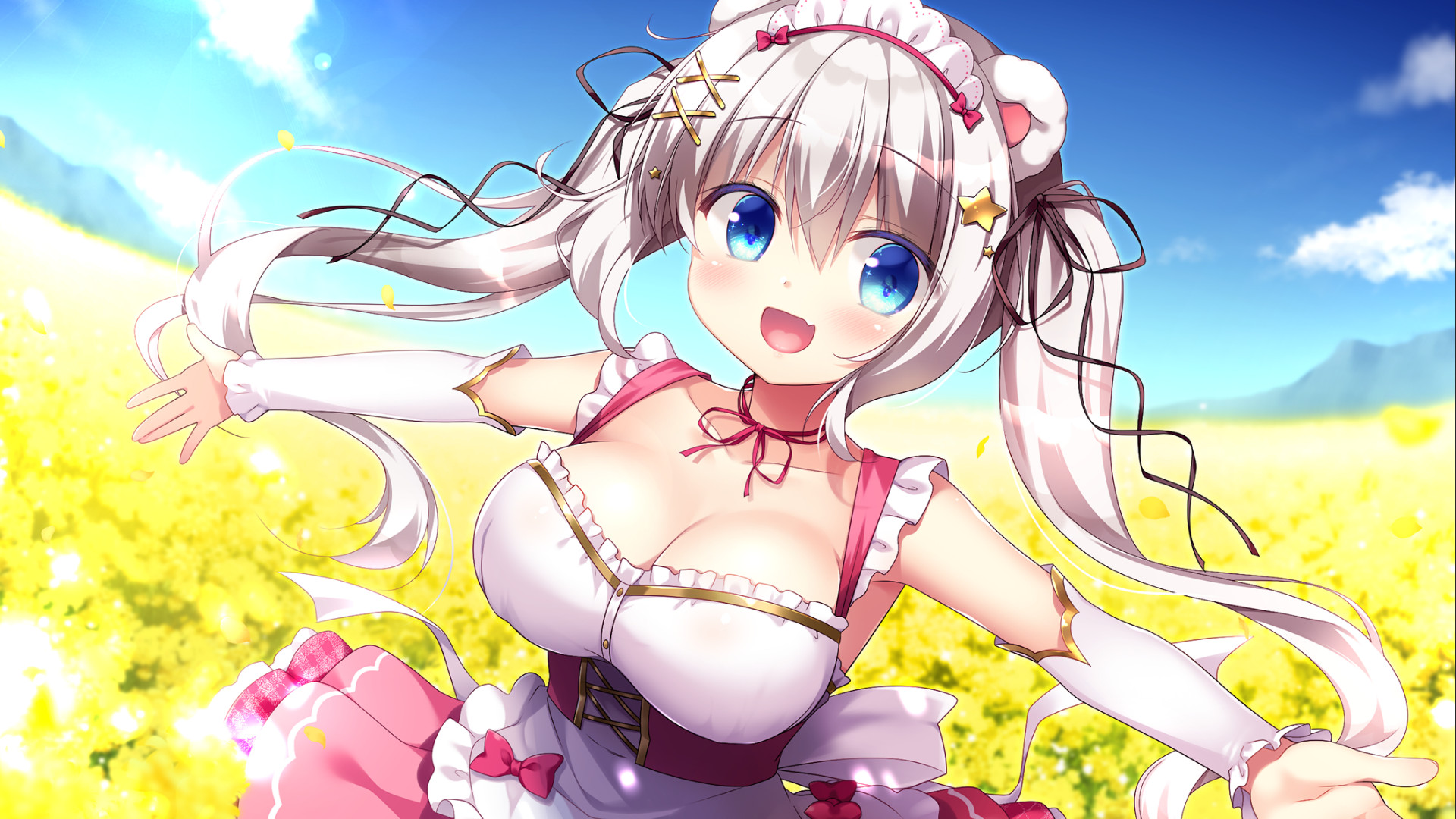 Island Diary