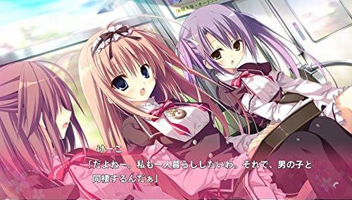 Majo Koi Nikki Dragon x Caravan