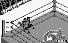 Fire Pro Wrestling for WonderSwan
