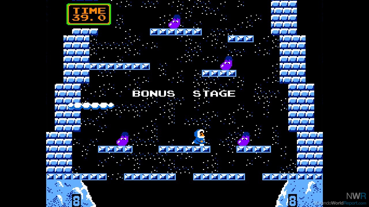 Arcade Archives: Ice Climber