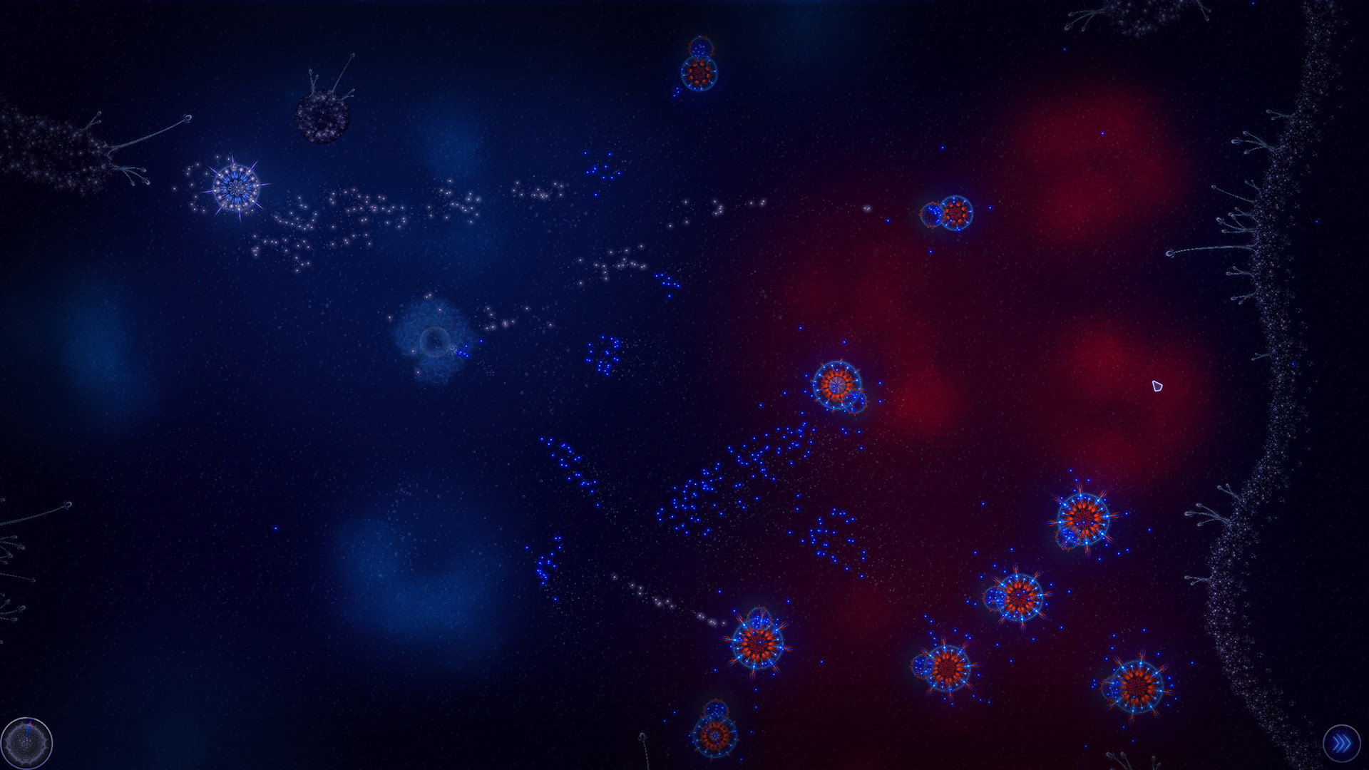 Microcosmum: Survival of Cells – Campaign “Hot and Cold”