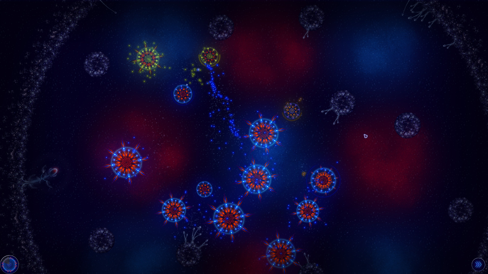 Microcosmum: Survival of Cells – Campaign “Hot and Cold”