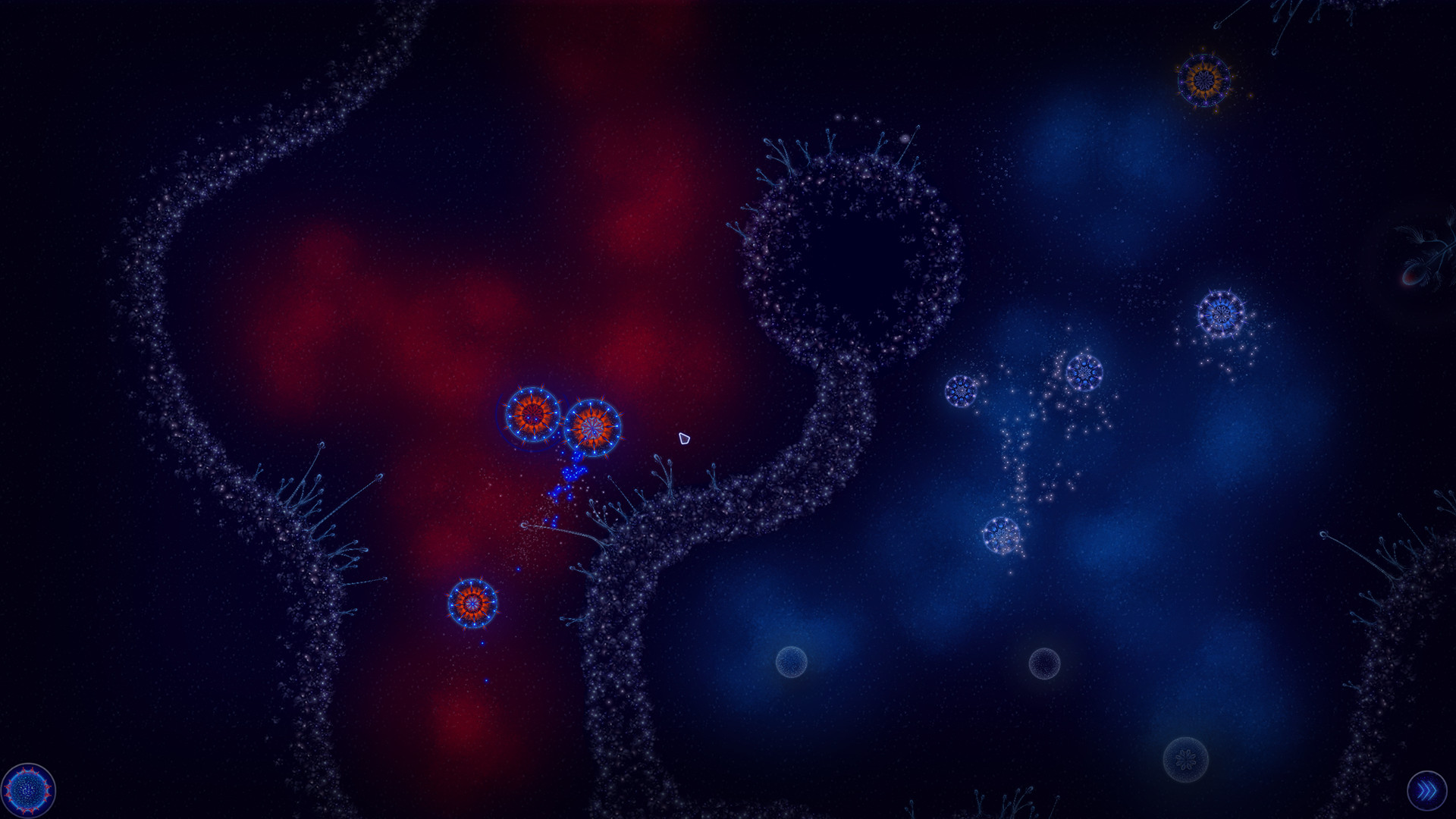 Microcosmum: Survival of Cells – Campaign “Hot and Cold”