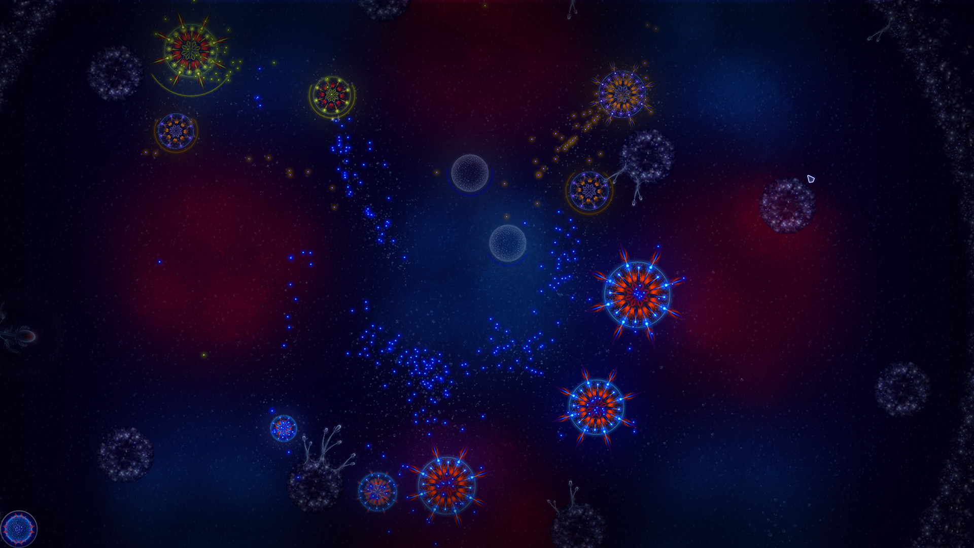 Microcosmum: Survival of Cells – Campaign “Hot and Cold”