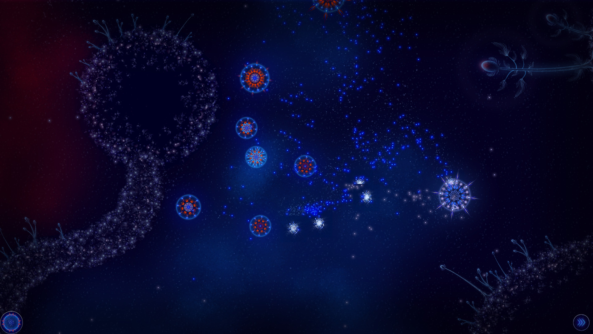 Microcosmum: Survival of Cells – Campaign “Hot and Cold”