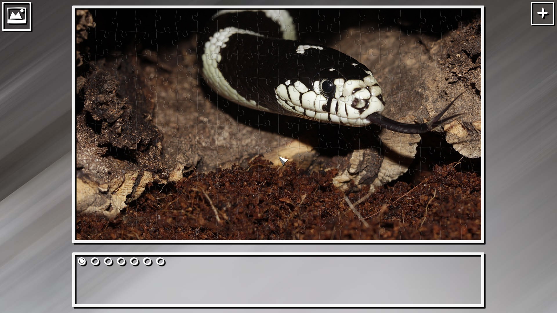 Super Jigsaw Puzzle: Generations – Snakes Puzzles