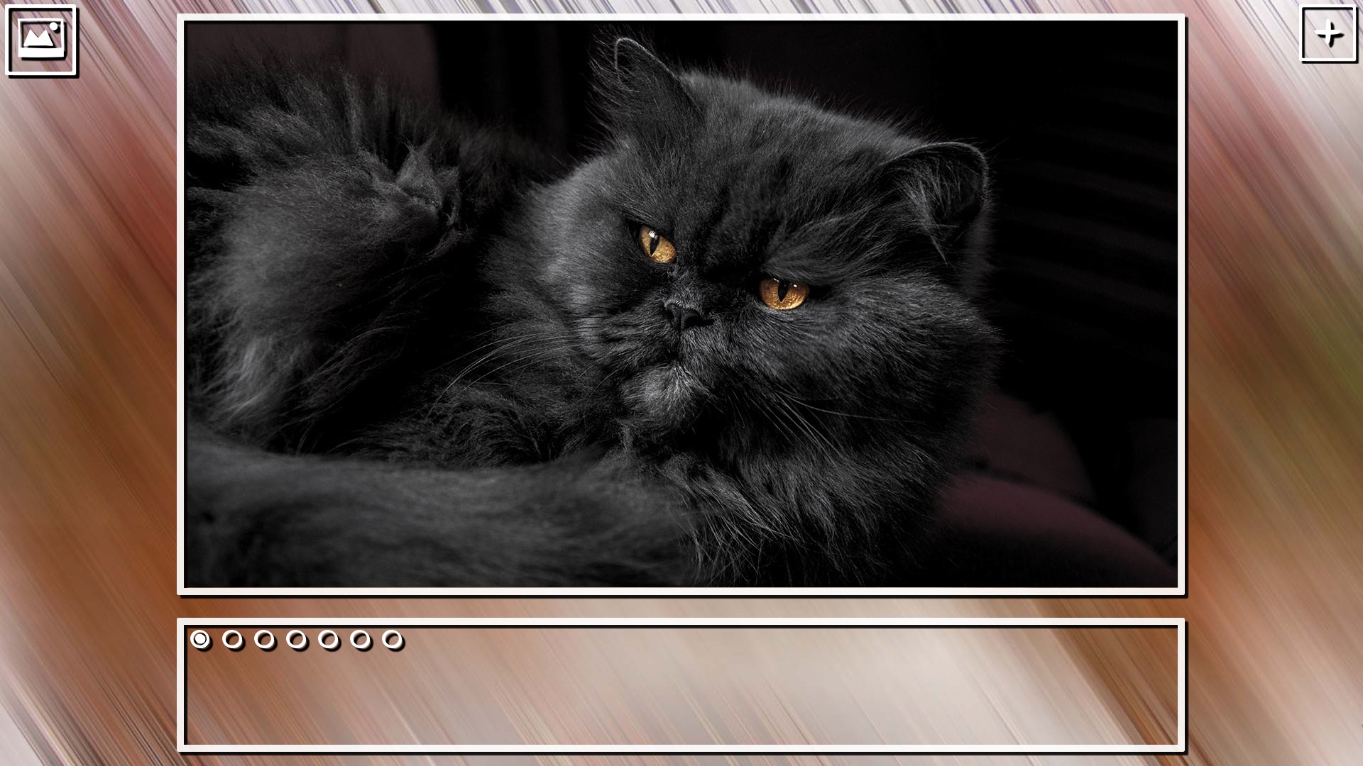 Super Jigsaw Puzzle: Generations – Cats Puzzles
