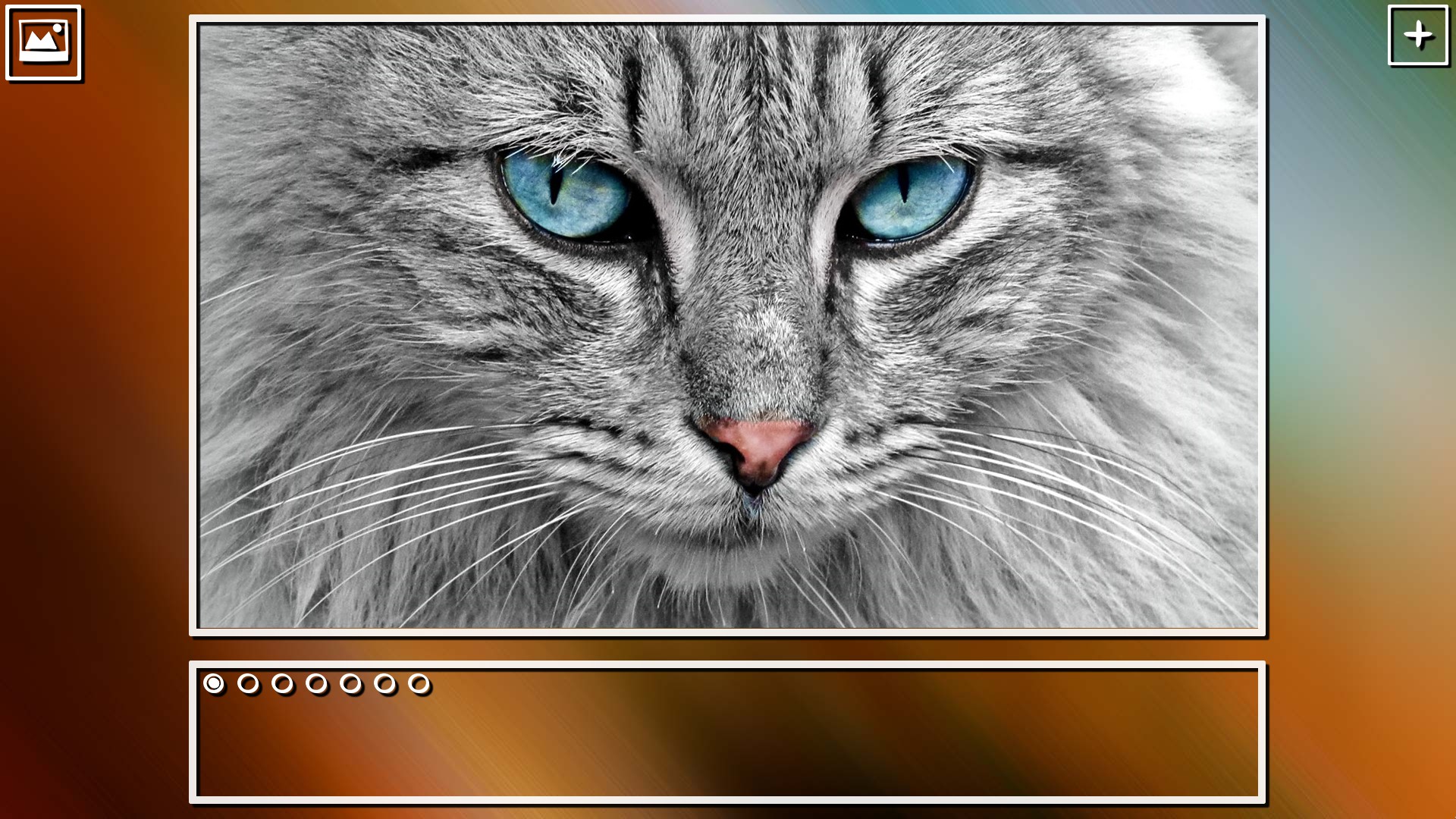 Super Jigsaw Puzzle: Generations – Cats Puzzles