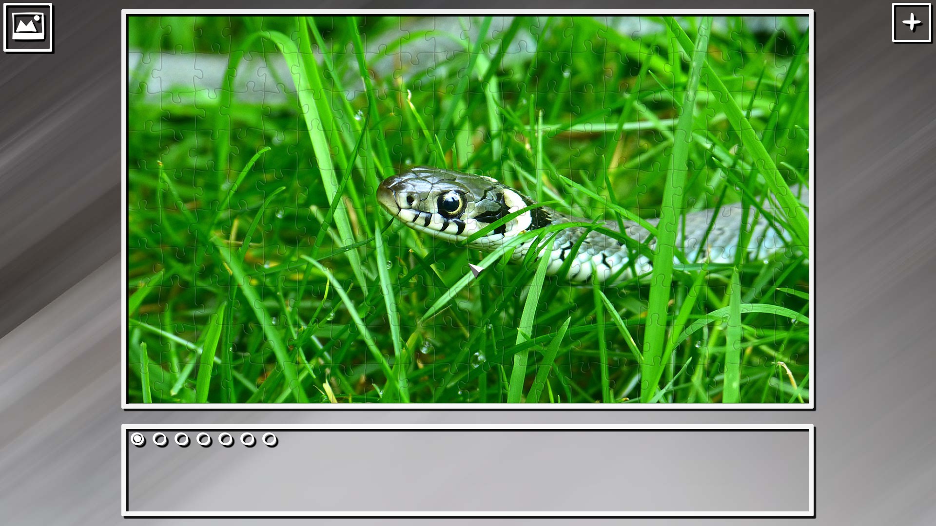 Super Jigsaw Puzzle: Generations – Snakes Puzzles