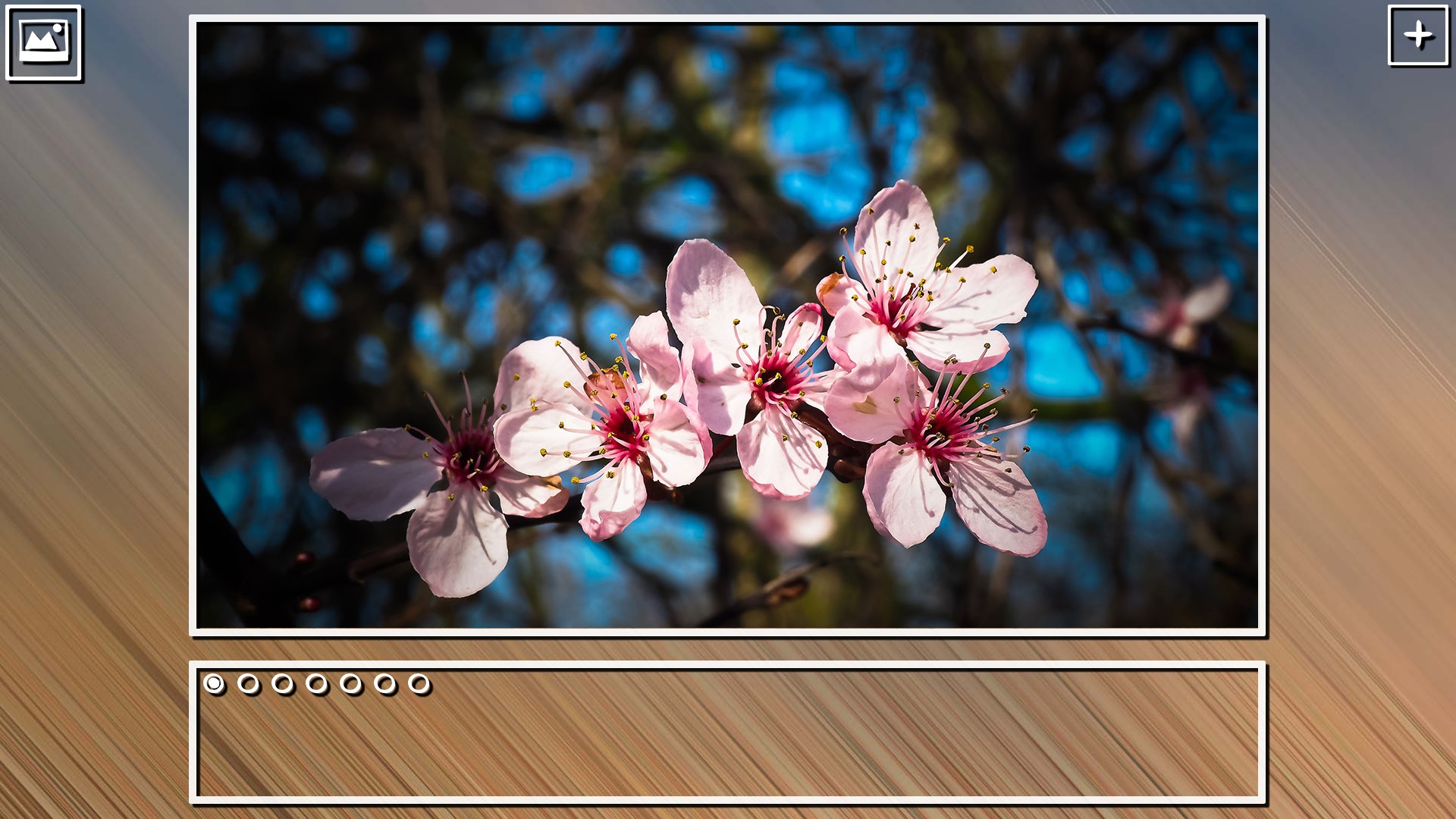 Super Jigsaw Puzzle: Generations – Spring Puzzles
