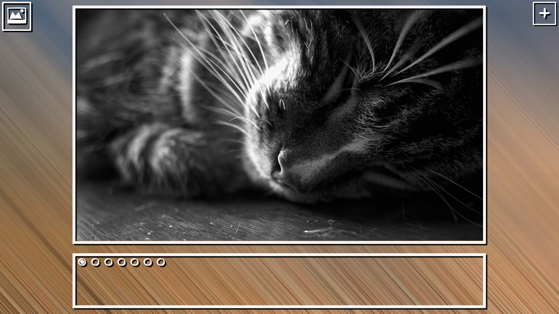 Super Jigsaw Puzzle: Generations – Cats Puzzles