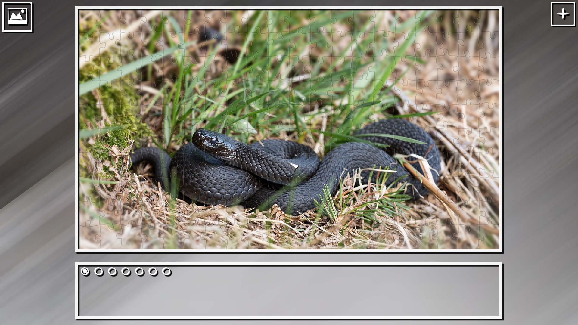 Super Jigsaw Puzzle: Generations – Snakes Puzzles