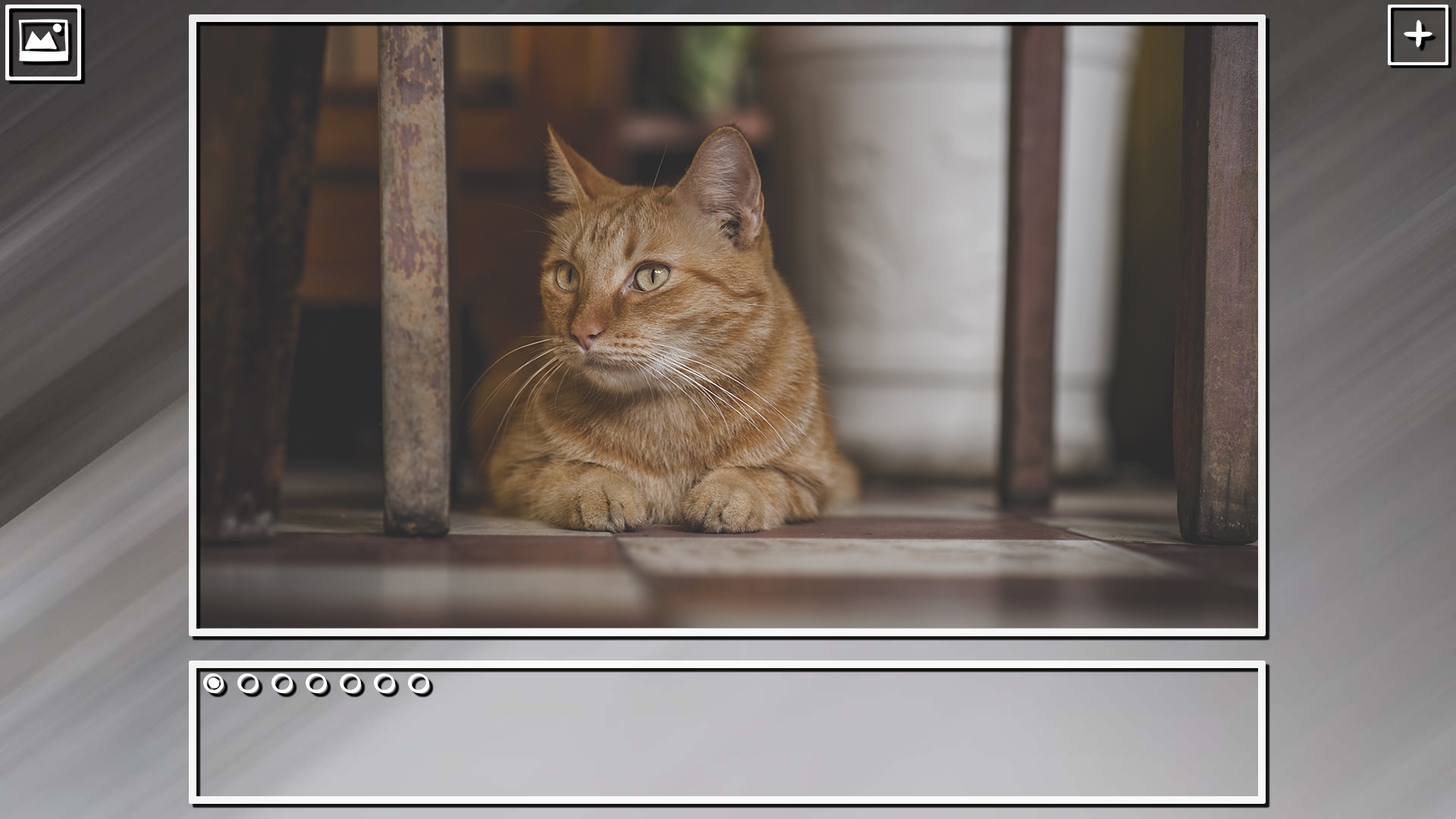 Super Jigsaw Puzzle: Generations – Cats Puzzles