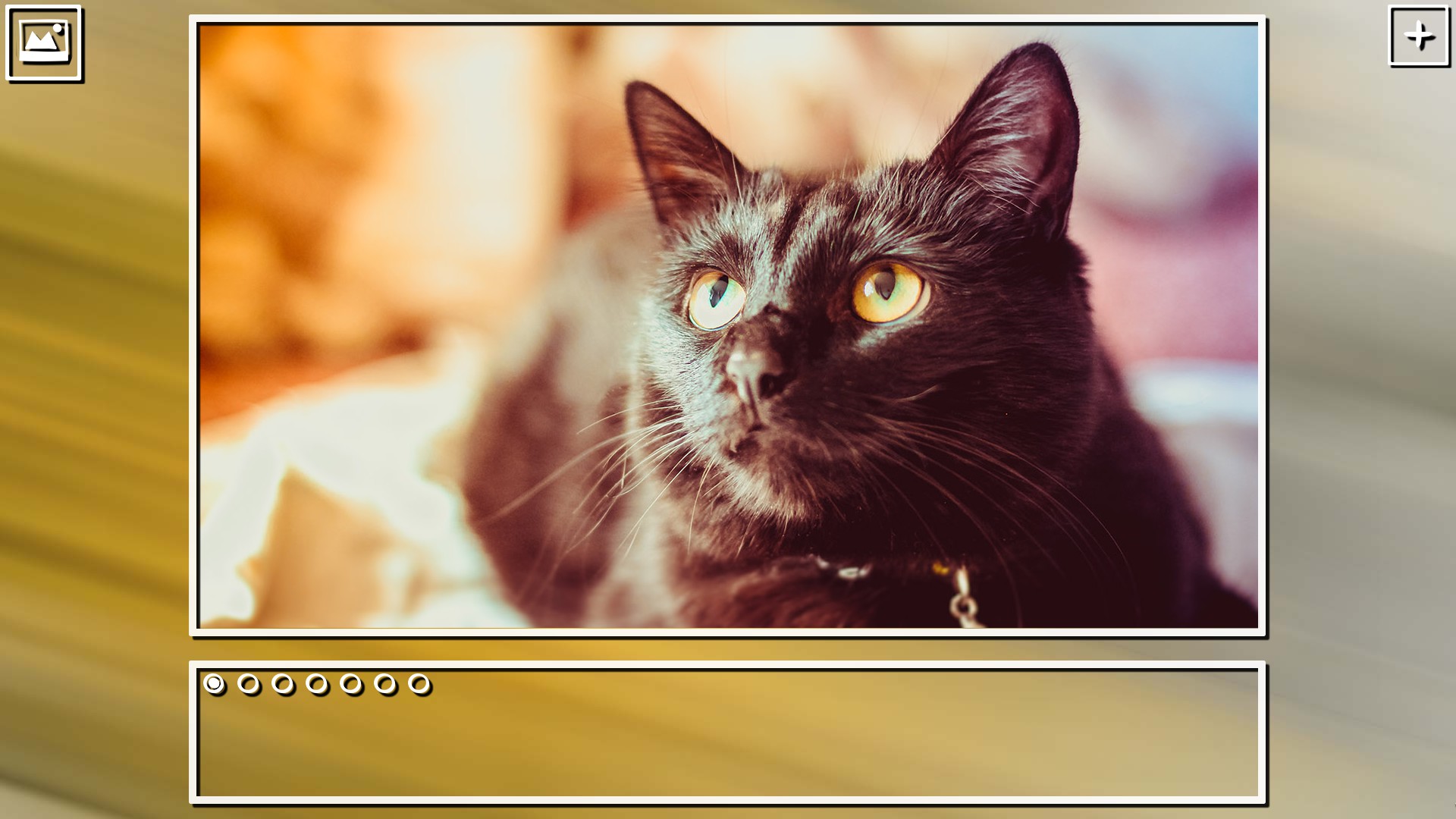 Super Jigsaw Puzzle: Generations – Cats Puzzles