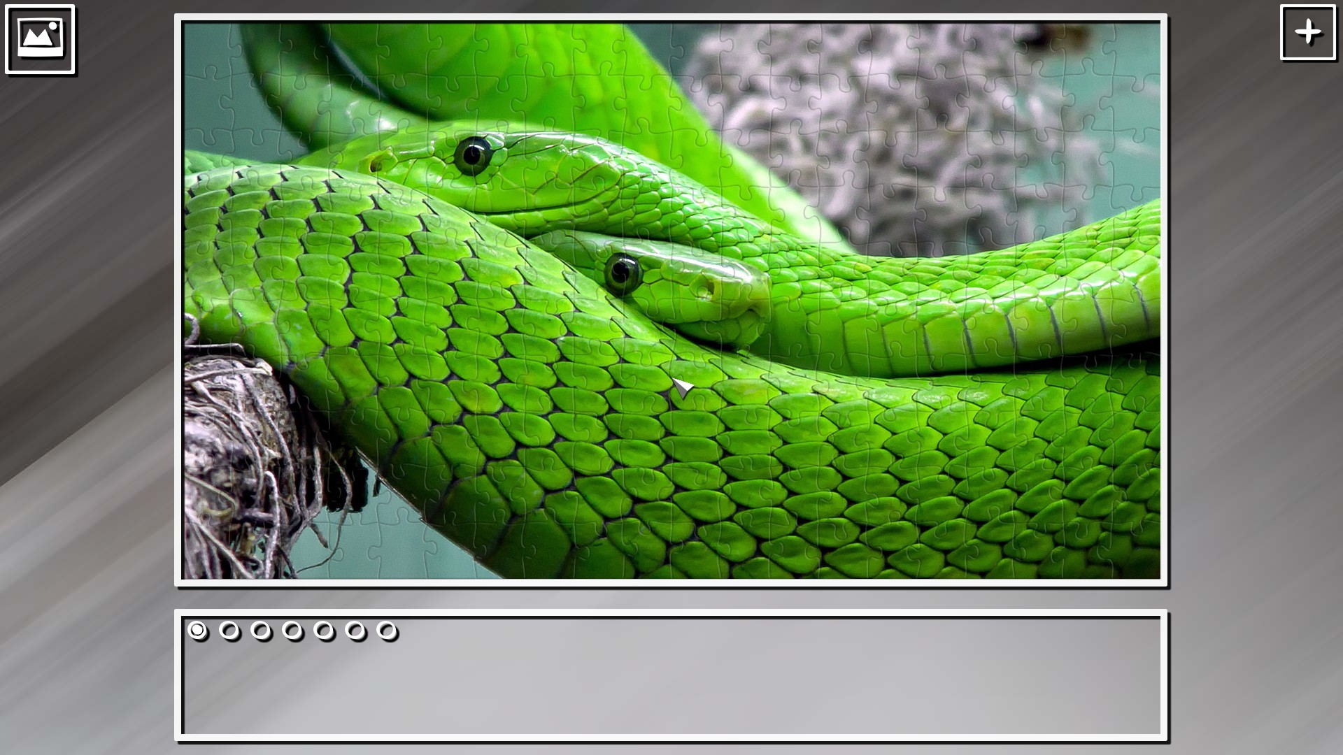 Super Jigsaw Puzzle: Generations – Snakes Puzzles