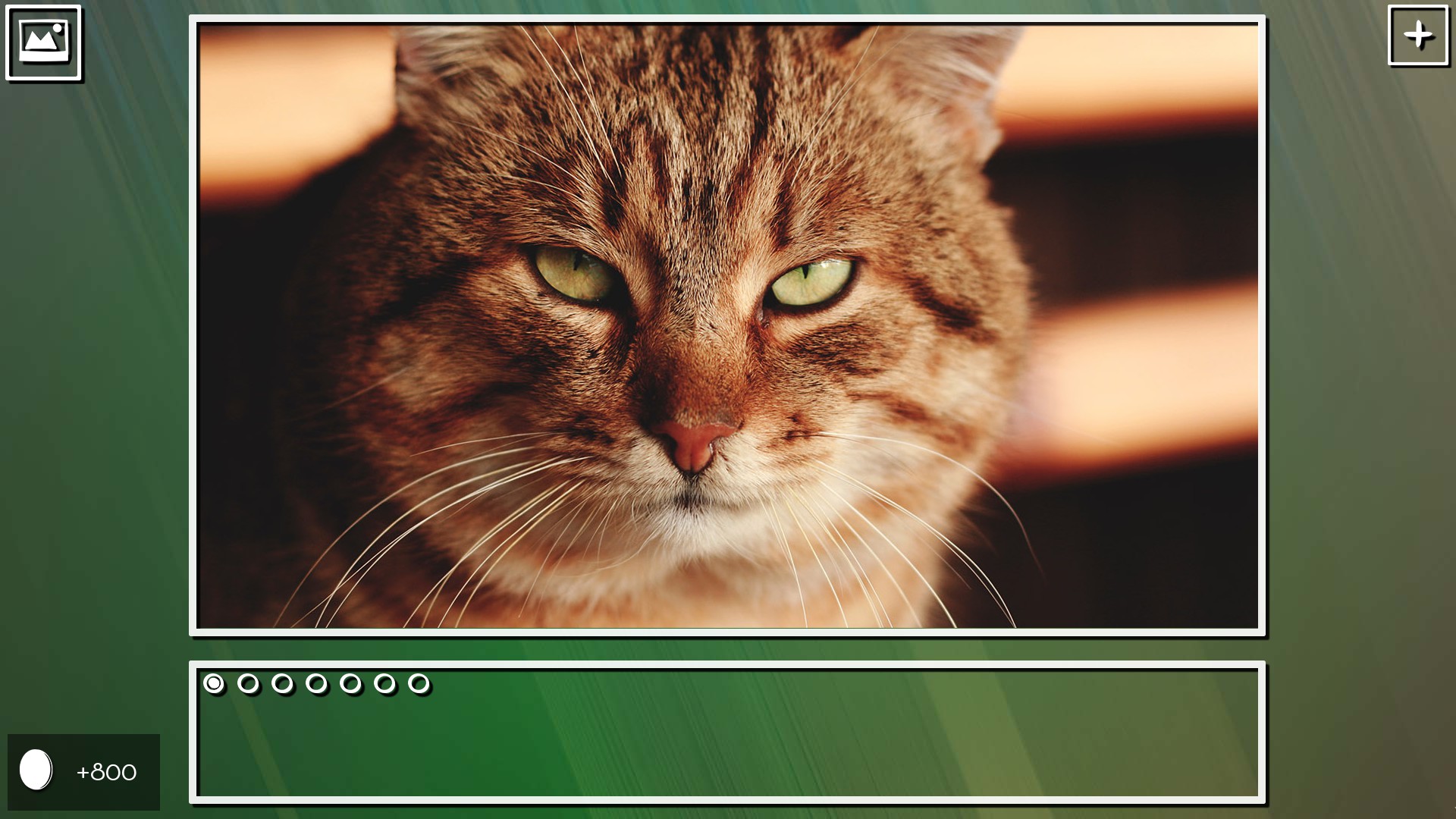 Super Jigsaw Puzzle: Generations – Cats Puzzles