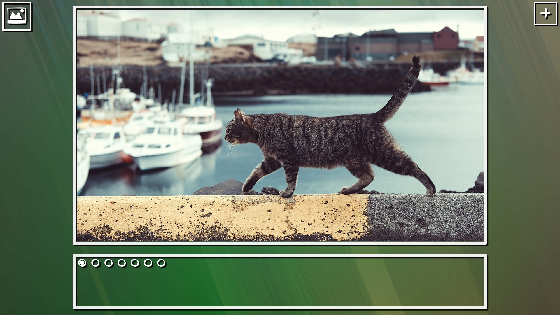 Super Jigsaw Puzzle: Generations – Cats Puzzles
