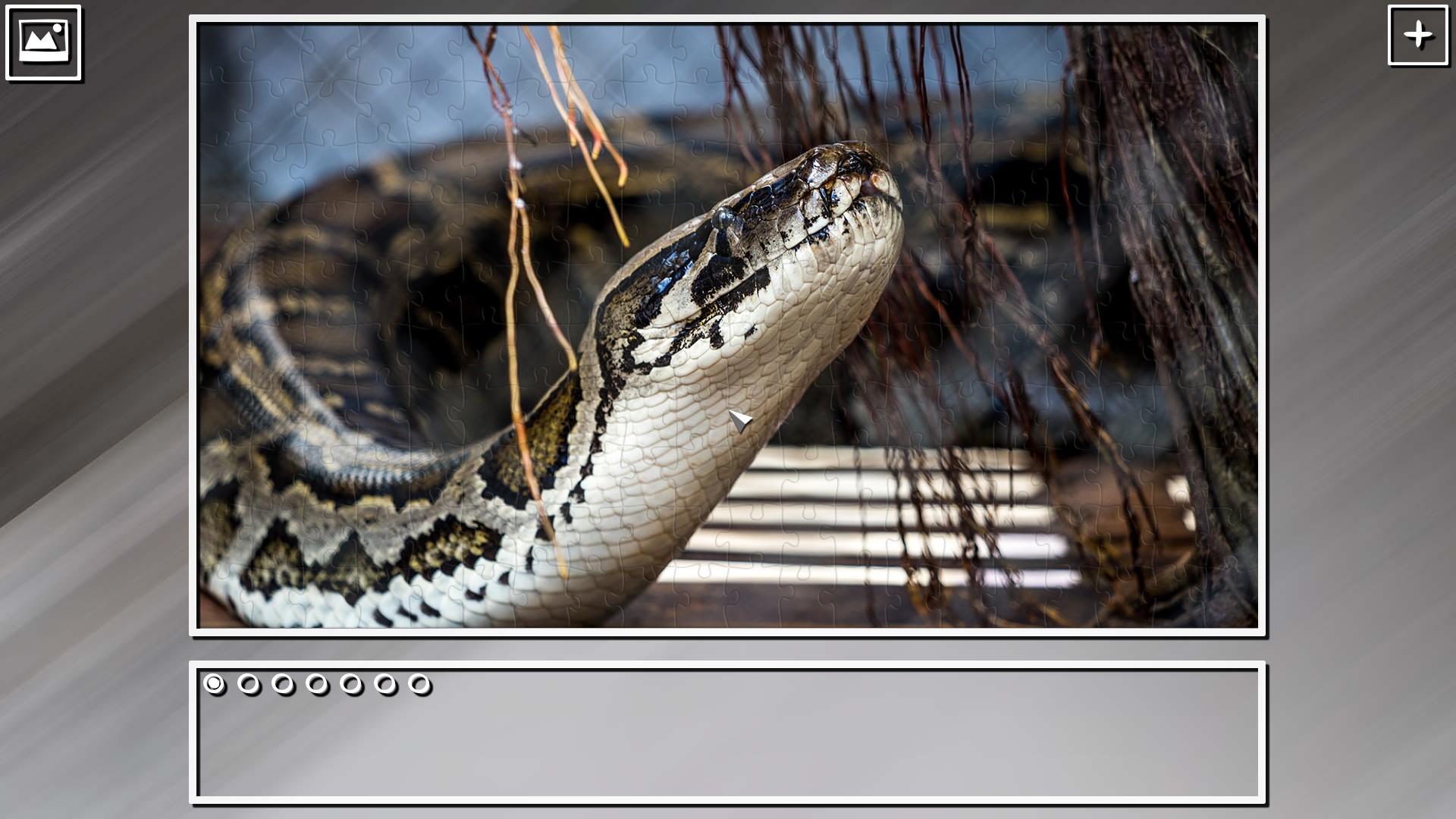 Super Jigsaw Puzzle: Generations – Snakes Puzzles