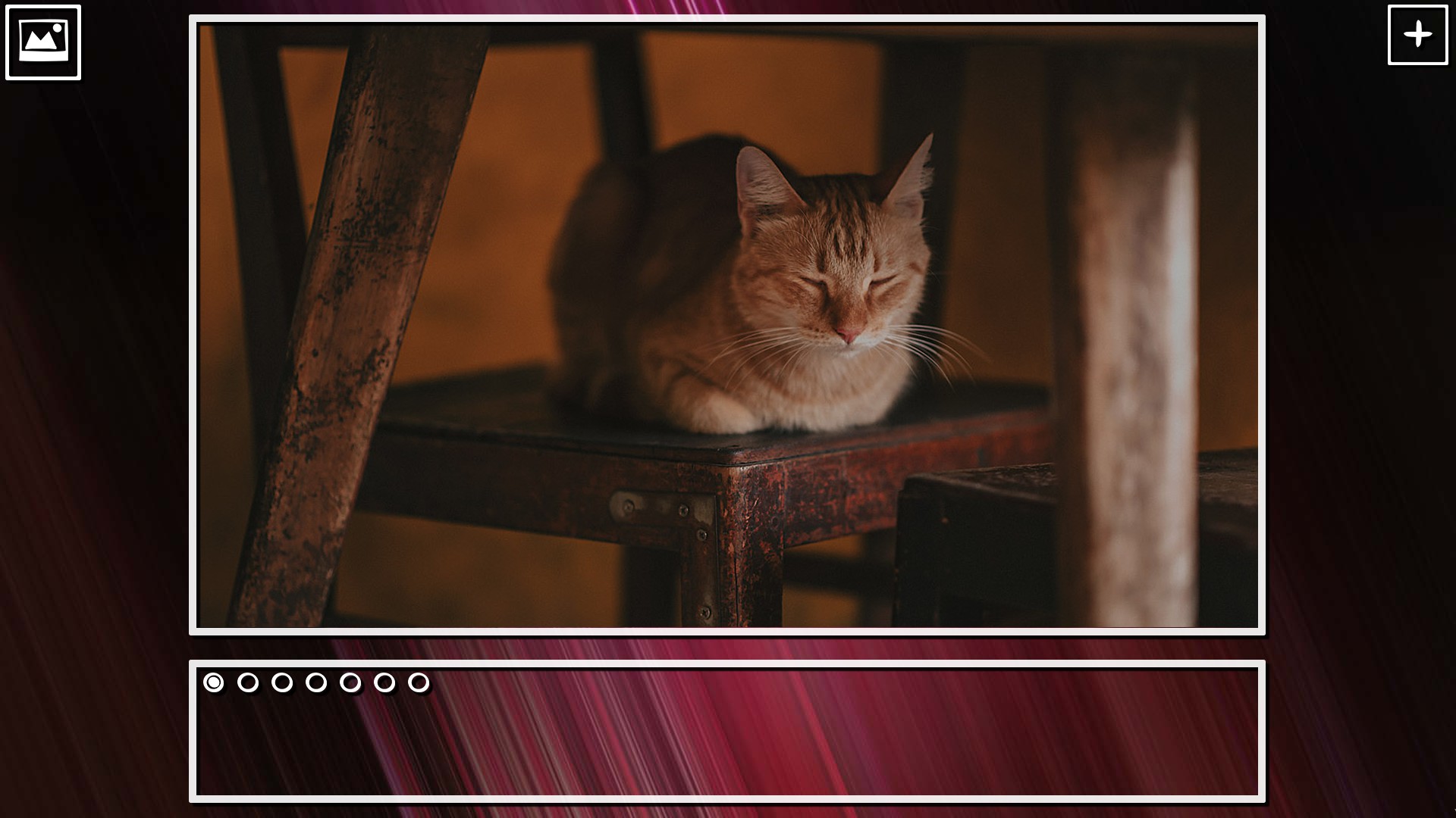 Super Jigsaw Puzzle: Generations – Cats Puzzles