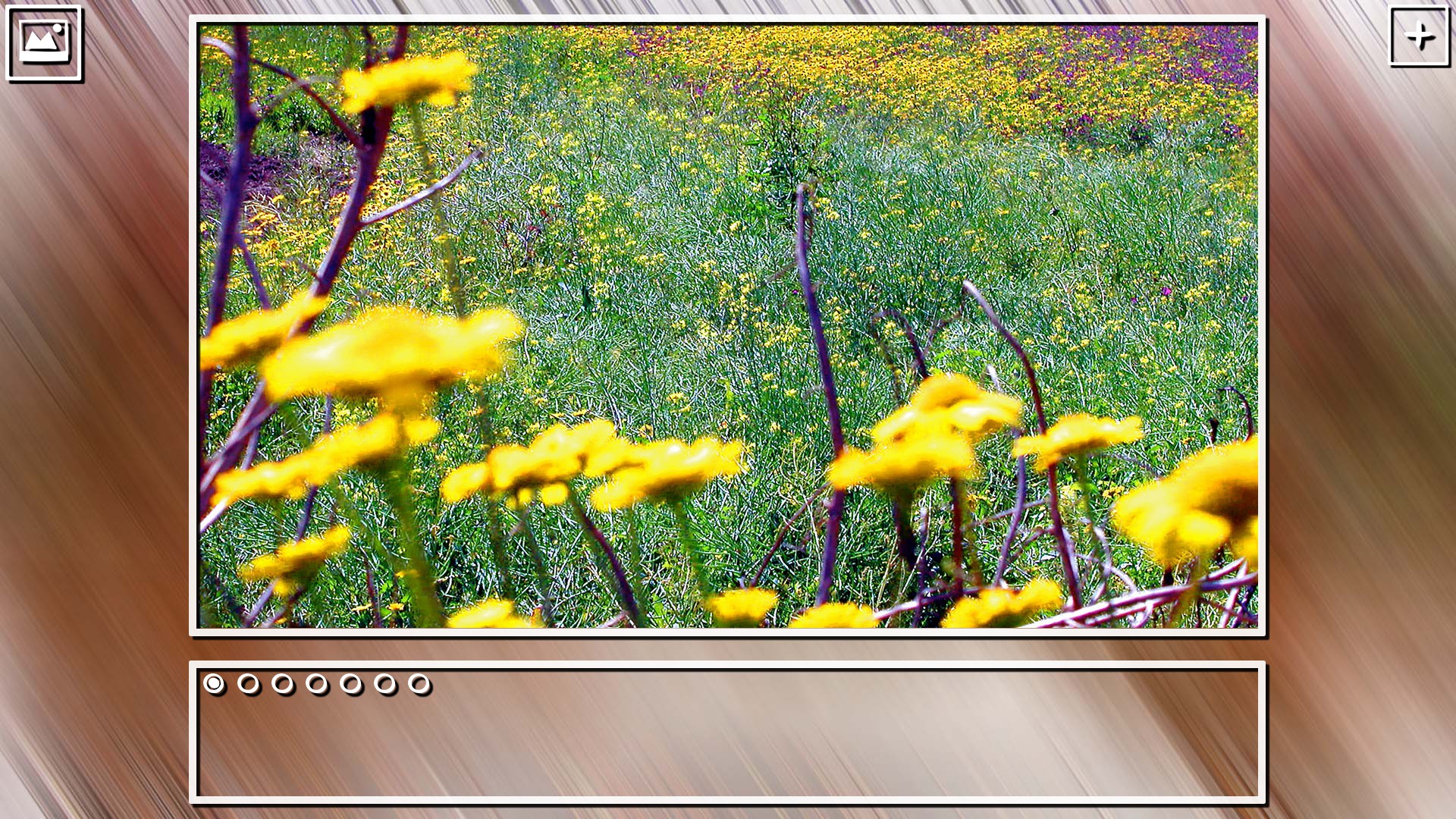 Super Jigsaw Puzzle: Generations – Spring Puzzles