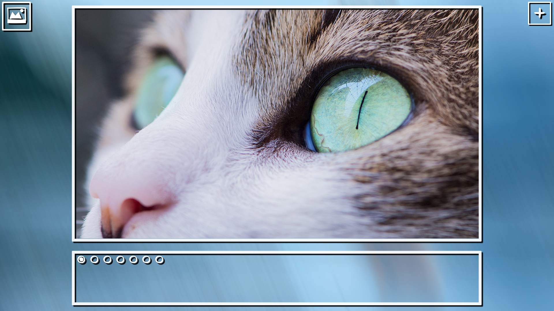 Super Jigsaw Puzzle: Generations – Cats Puzzles