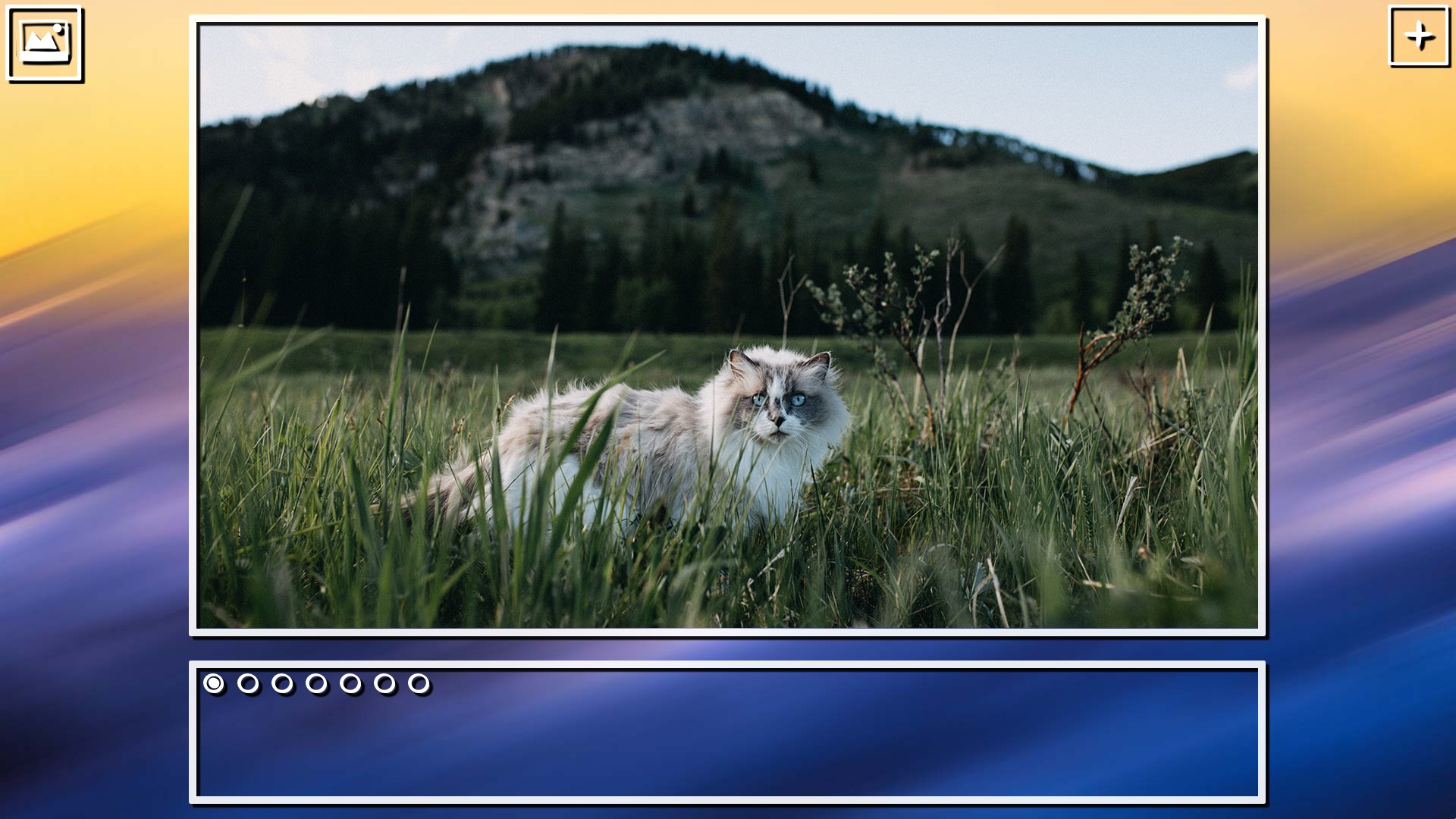 Super Jigsaw Puzzle: Generations – Cats Puzzles
