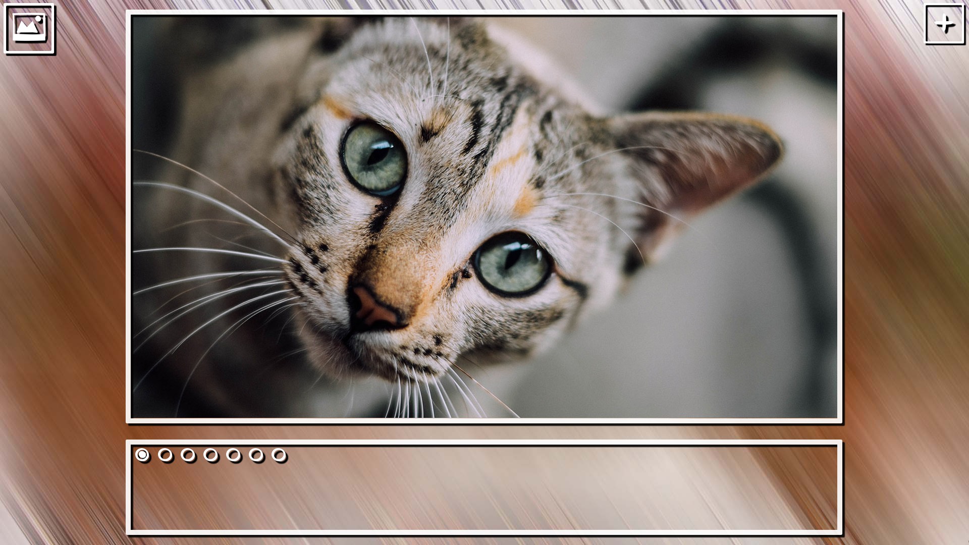 Super Jigsaw Puzzle: Generations – Cats Puzzles